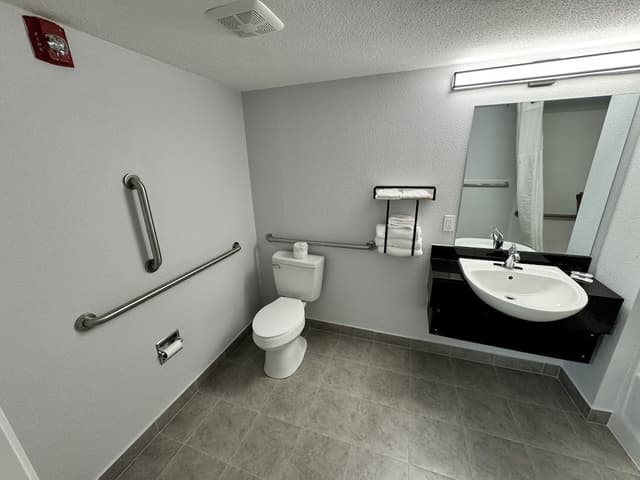 Standard Room, 1 King Bed, Accessible, Non Smoking