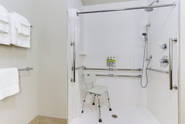 Standard Room, 1 King Bed, Accessible Bathtub (Mobility Accessible, Bathtub)