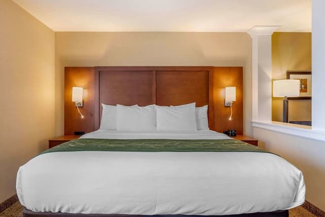 Suite, 1 King Bed, Non Smoking