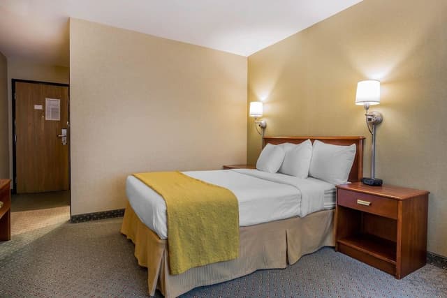 Standard Room, 1 King Bed, Non Smoking