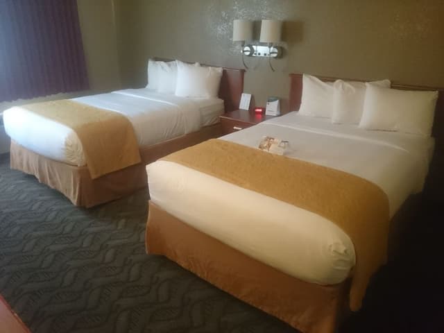 Standard Double Room, 2 Double Beds, Non Smoking