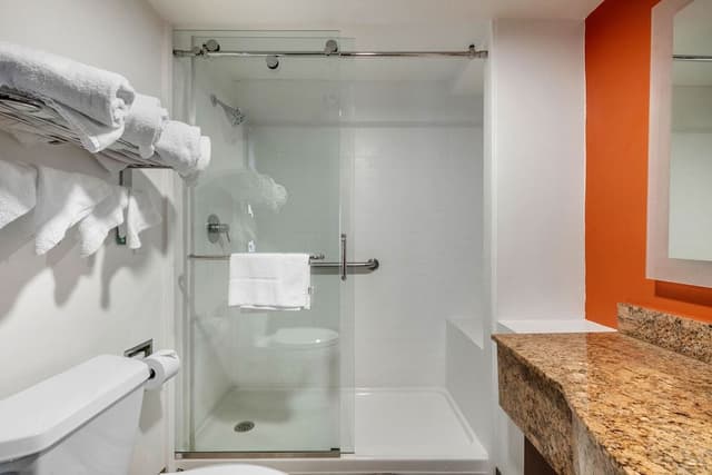 Deluxe Suite, 1 King Bed with Sofa bed, Non Smoking, Kitchen