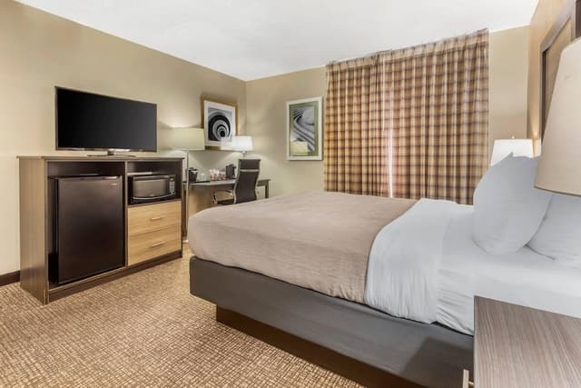 Suite, 1 Queen Bed, Non Smoking (Efficiency)