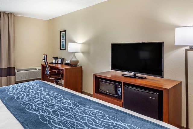 Standard Room, 1 King Bed, Non Smoking