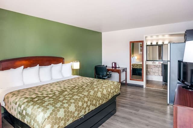 Room, 1 King Bed with Sofa bed, Non Smoking (Efficiency)