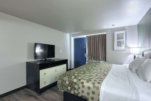 Room, 1 King Bed with Sofa bed, Non Smoking (Efficiency)