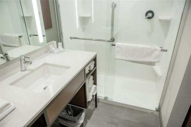 1 KING HEARING ACCESSIBLE ROOM