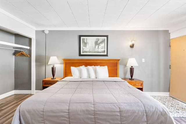 Premium Single Room, 1 King Bed, Non Smoking