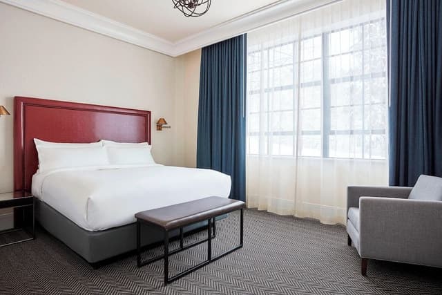 Suite, 1 King Bed with Sofa bed