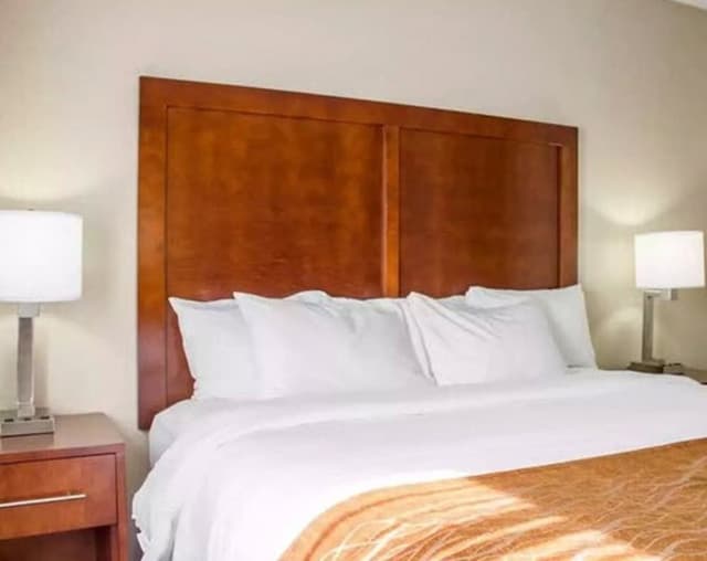 Room, 1 King Bed, Accessible, Non Smoking