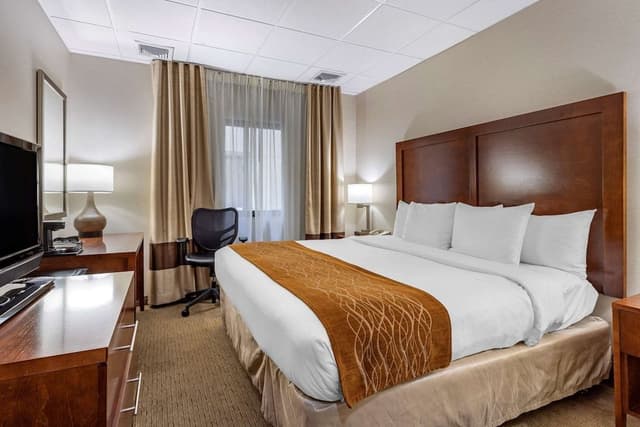 Room, 1 King Bed, Accessible, Non Smoking