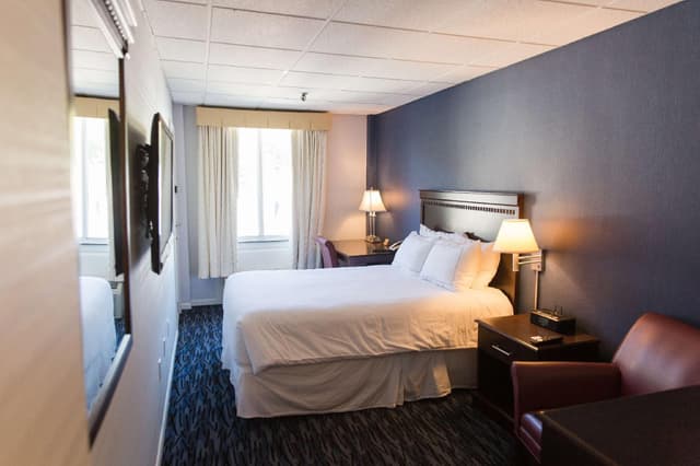1 Queen Bed Room