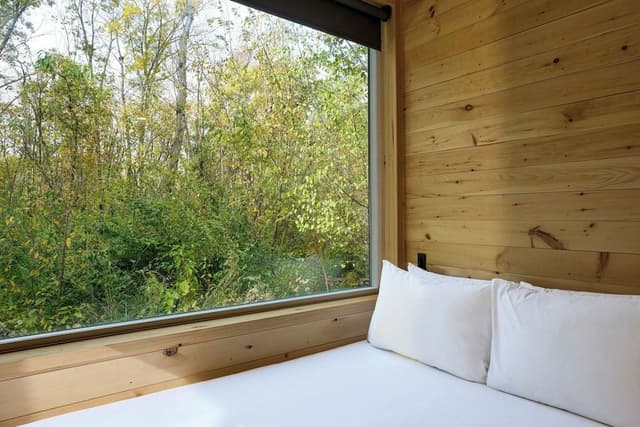 Cabin, 1 Queen Bed
