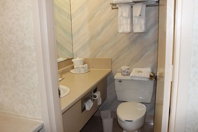 Standard Room, 1 King Bed