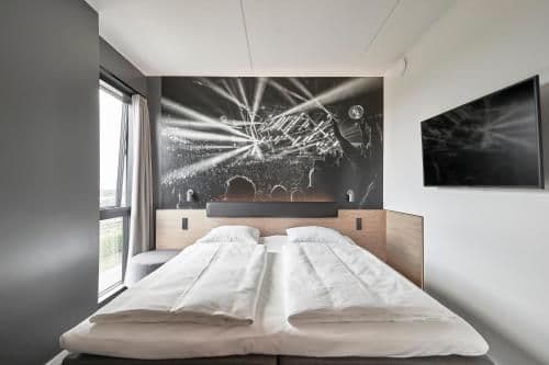 Standard Double Room with One King Bed