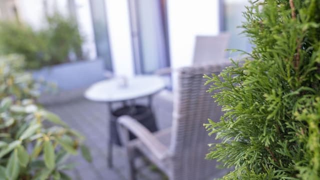 Double Room, Terrace