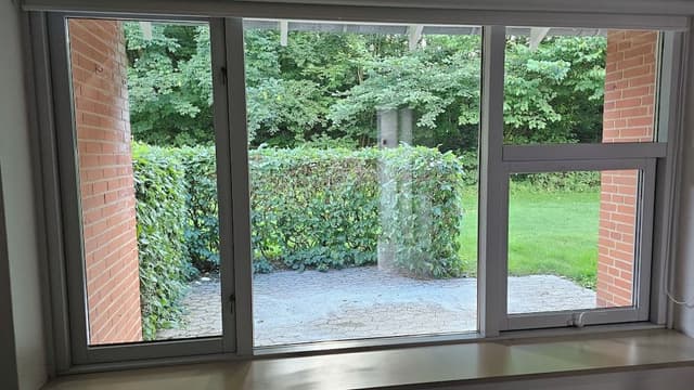 Business Single Room