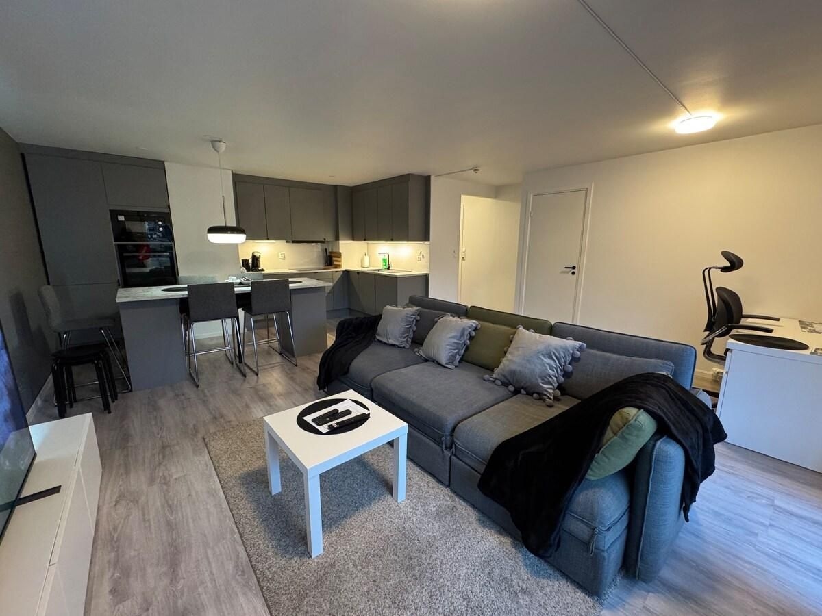 อพาร์ตเมนต์ทันสมัย ใจกลางเมือง เดินทาง 6 นาทีถึงออสโลซิตี้ (Modern and Central Apartment, 6 mins to Oslo City)4