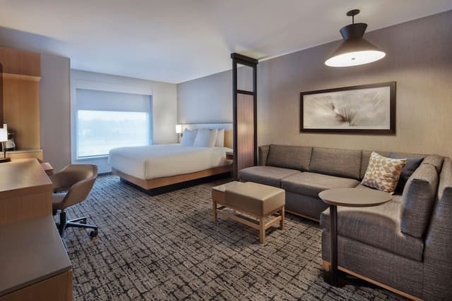 Design Room, 1 King Bed with Sofa bed