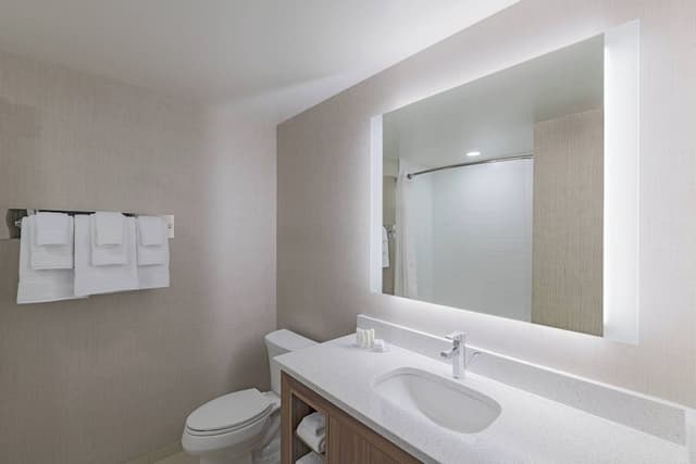 Suite, 1 Bedroom