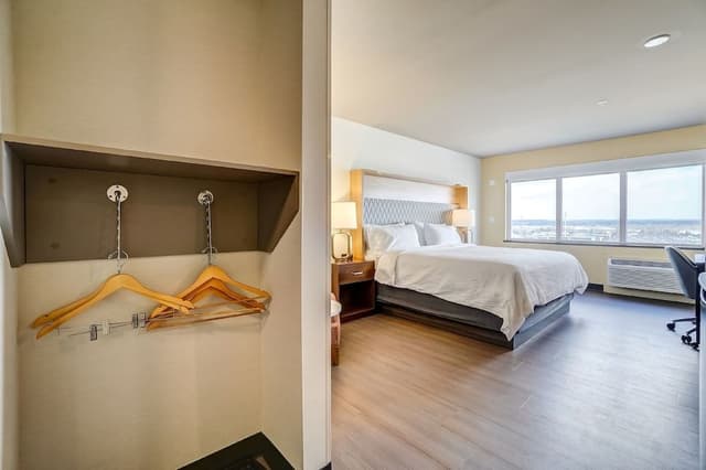 Standard Room, 1 King Bed, Roll-in Shower (Mobility Accessible)