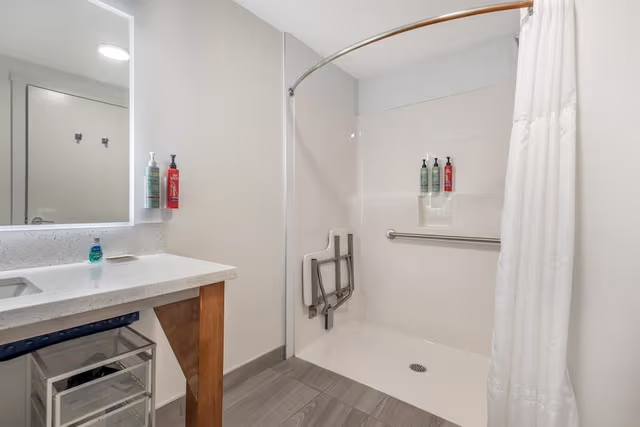 Standard Room, 1 Queen Bed, Accessible, Kitchenette (with Sofa bed) (non-Pet friendly)