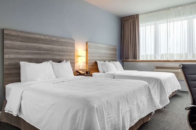 Standard Room, 2 Queen Beds, Non Smoking