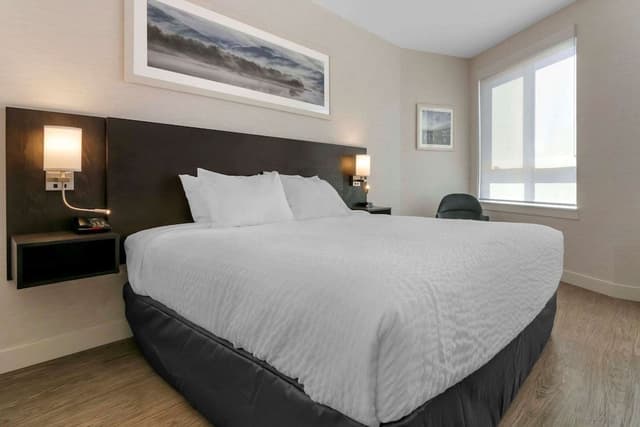 Standard Room, 1 King Bed, Non Smoking