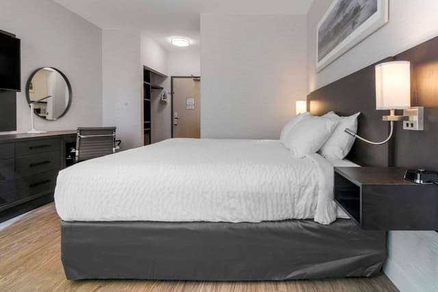 Standard Room, 1 King Bed, Non Smoking
