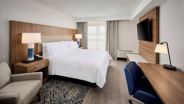 Studio Suite, 1 King Bed with Sofa bed (Walk-In Shower)