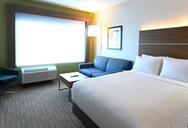 Suite, 1 King Bed with Sofa bed