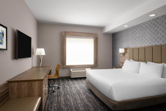 Executive Suite, 1 King Bed, Non Smoking (Larger Room, Sofabed, Full Kitchen)