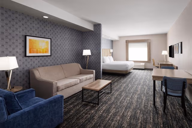 Executive Suite, 1 King Bed, Non Smoking (Larger Room, Sofabed, Full Kitchen)