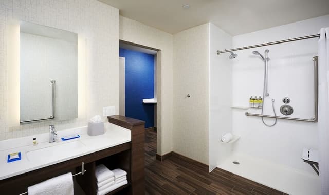 Standard Room, 1 King Bed, Roll-in Shower (Mobility Accessible)