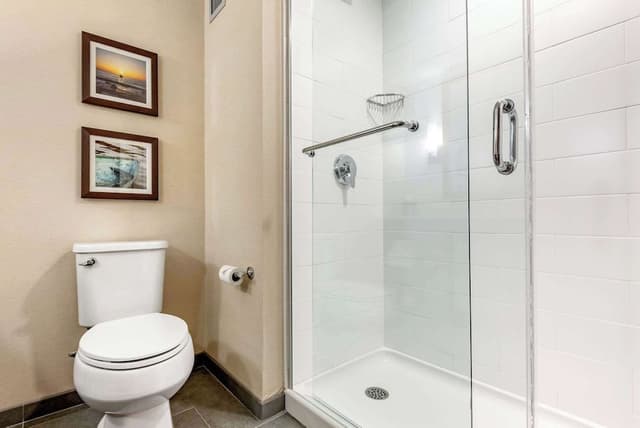 Suite, 1 King Bed with Sofa bed, Non Smoking