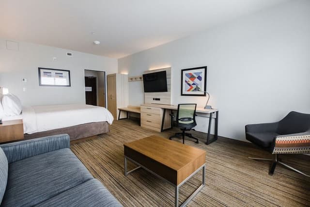Suite, 1 King Bed with Sofa bed