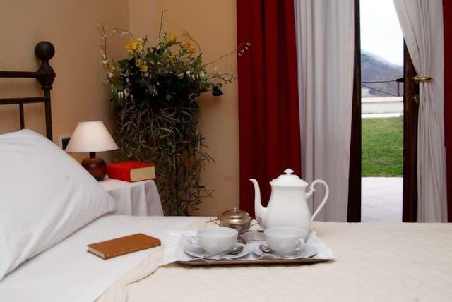 Deluxe Double Room, Patio, Courtyard View