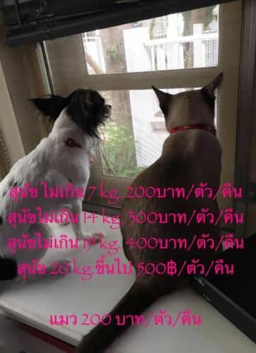 รีร่า รีสอร์ท รีร่า รีสอร์ท