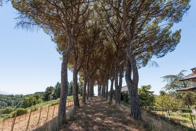 Villa, Multiple Bedrooms, Accessible, Private Pool