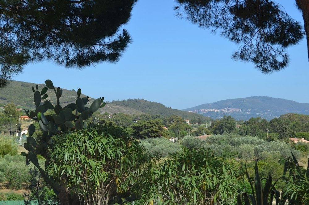 Elbamar Lacona2