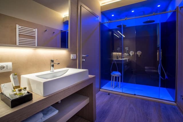 Luxury Suite