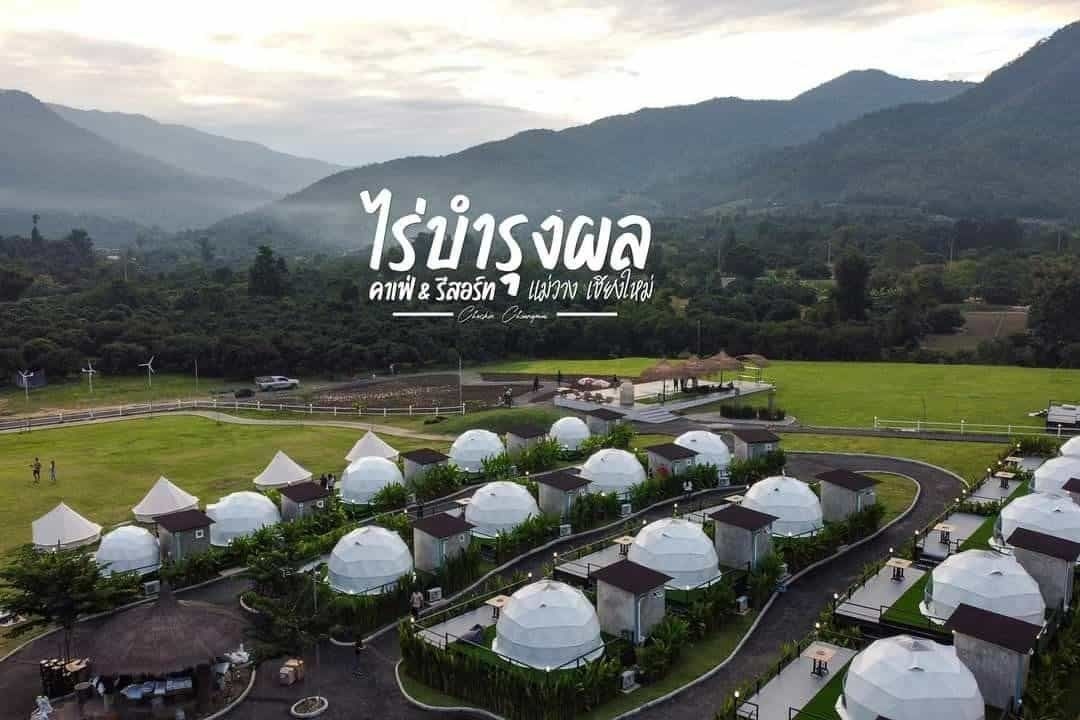 ไร่บำรุงผล แม่วาง (Raibumrungphol Maewang)0