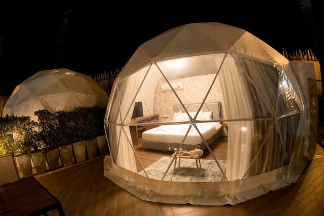 VIP Twin Room
