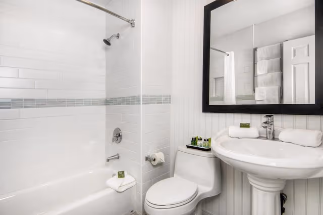 Suite, 1 King Bed with Sofa bed, Non Smoking (Efficiency, Cottage)