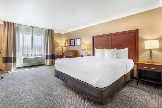 Standard Room, 1 King Bed, Non Smoking