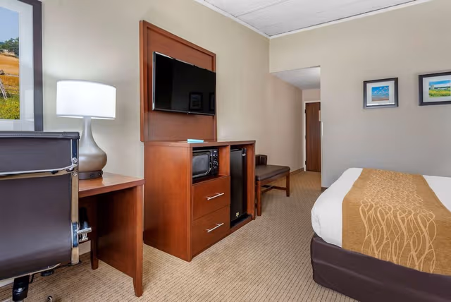 Room, 1 King Bed, Accessible, Non Smoking