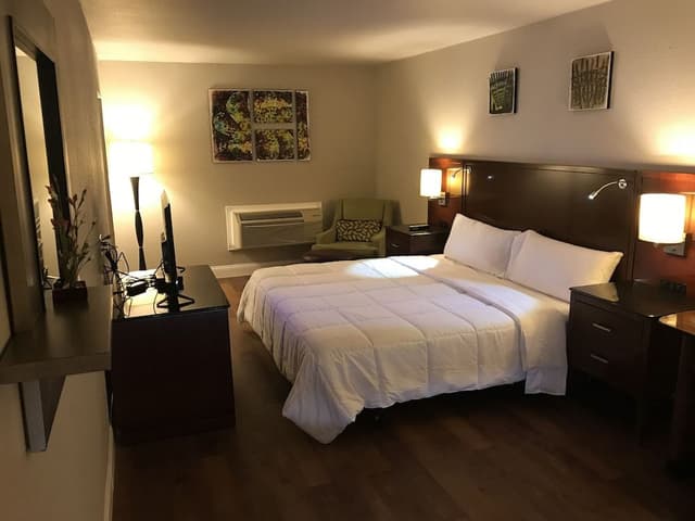 Luxury Room, 1 King Bed, Non Smoking, Refrigerator & Microwave