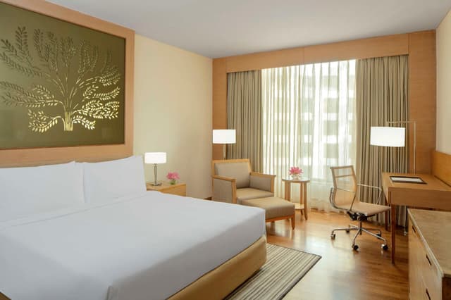 Suite with Living Area and Sofa Bed