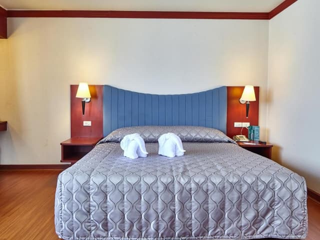 Executive Suite Room