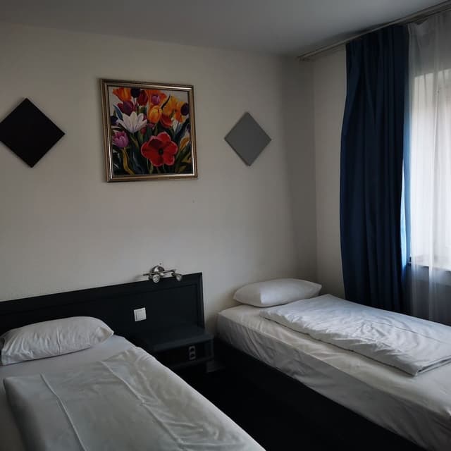 Basic Twin Room